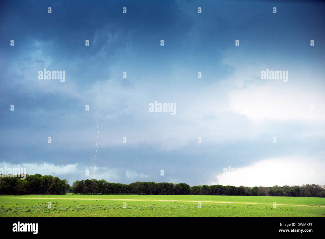 Wolke zum Boden Blitz Blitz oder Streik, Oklahoma, Vereinigte Staaten von Amerika, Nordamerika Stockfoto