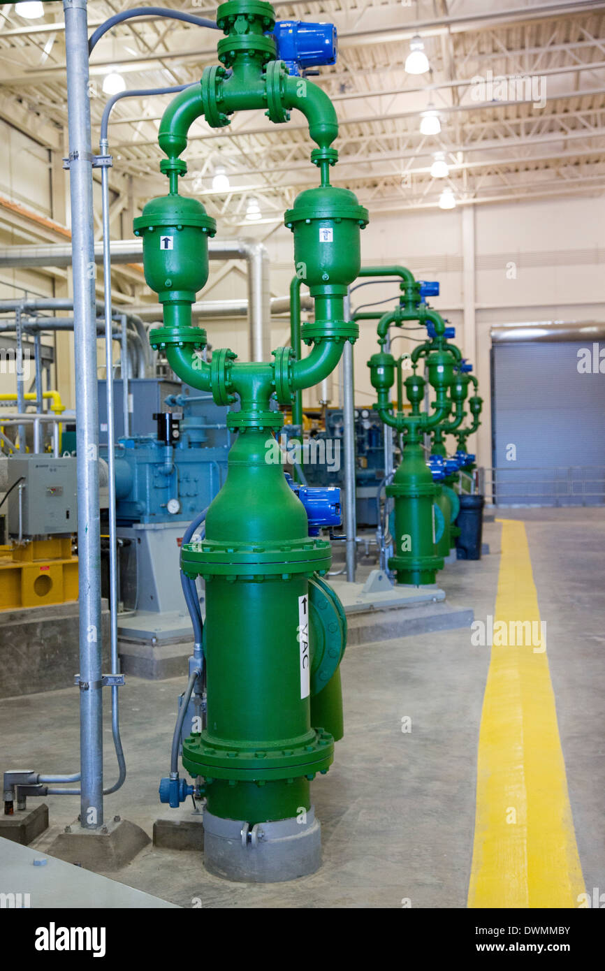 Everglades Wiederherstellung Stockfoto