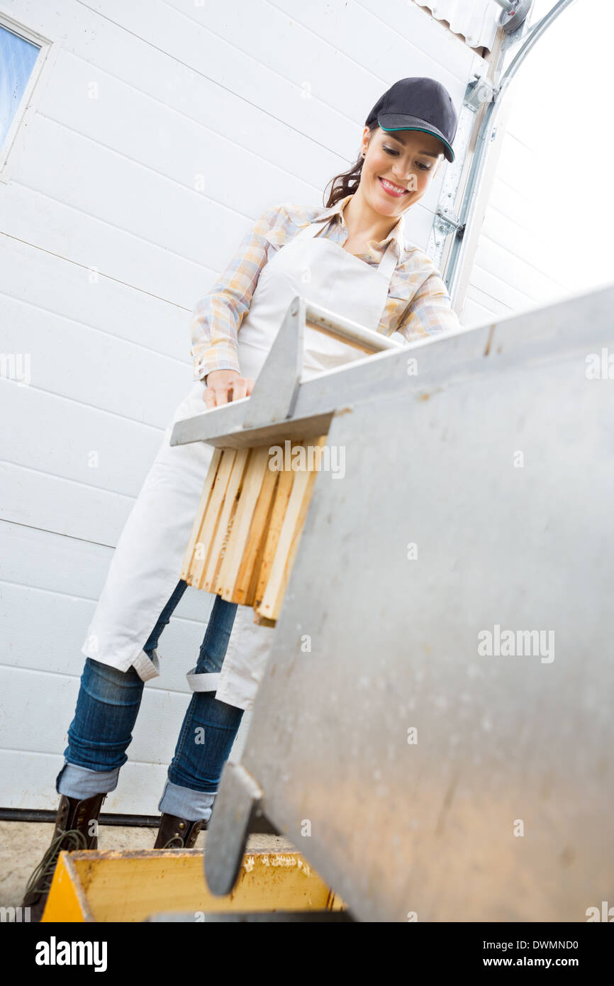 Imker Waben werkseitig Imkerei zu sammeln Stockfoto