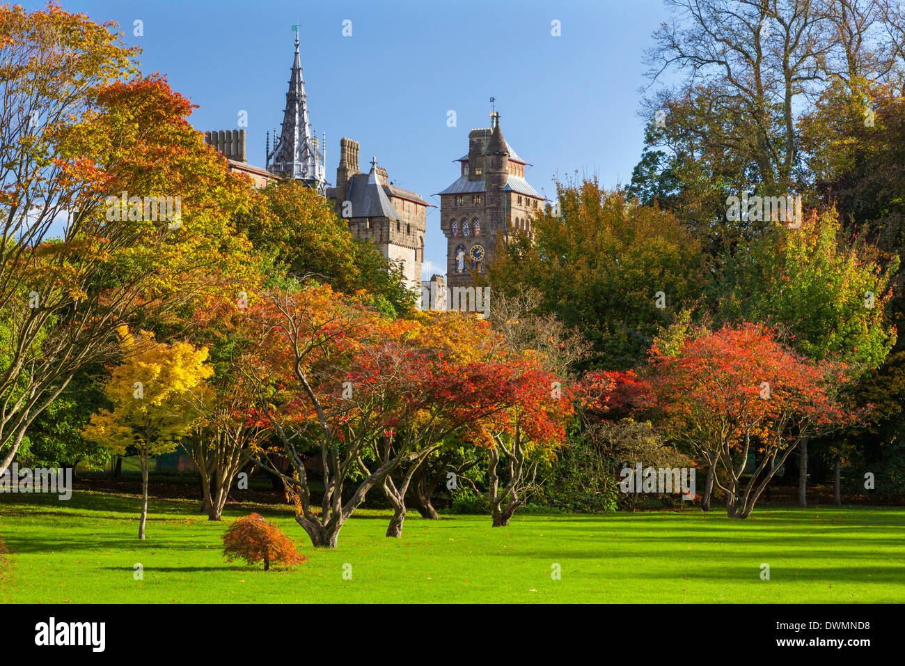 Cardiff Castle, Bute Park, Cardiff, Wales, Vereinigtes Königreich, Europa Stockfoto