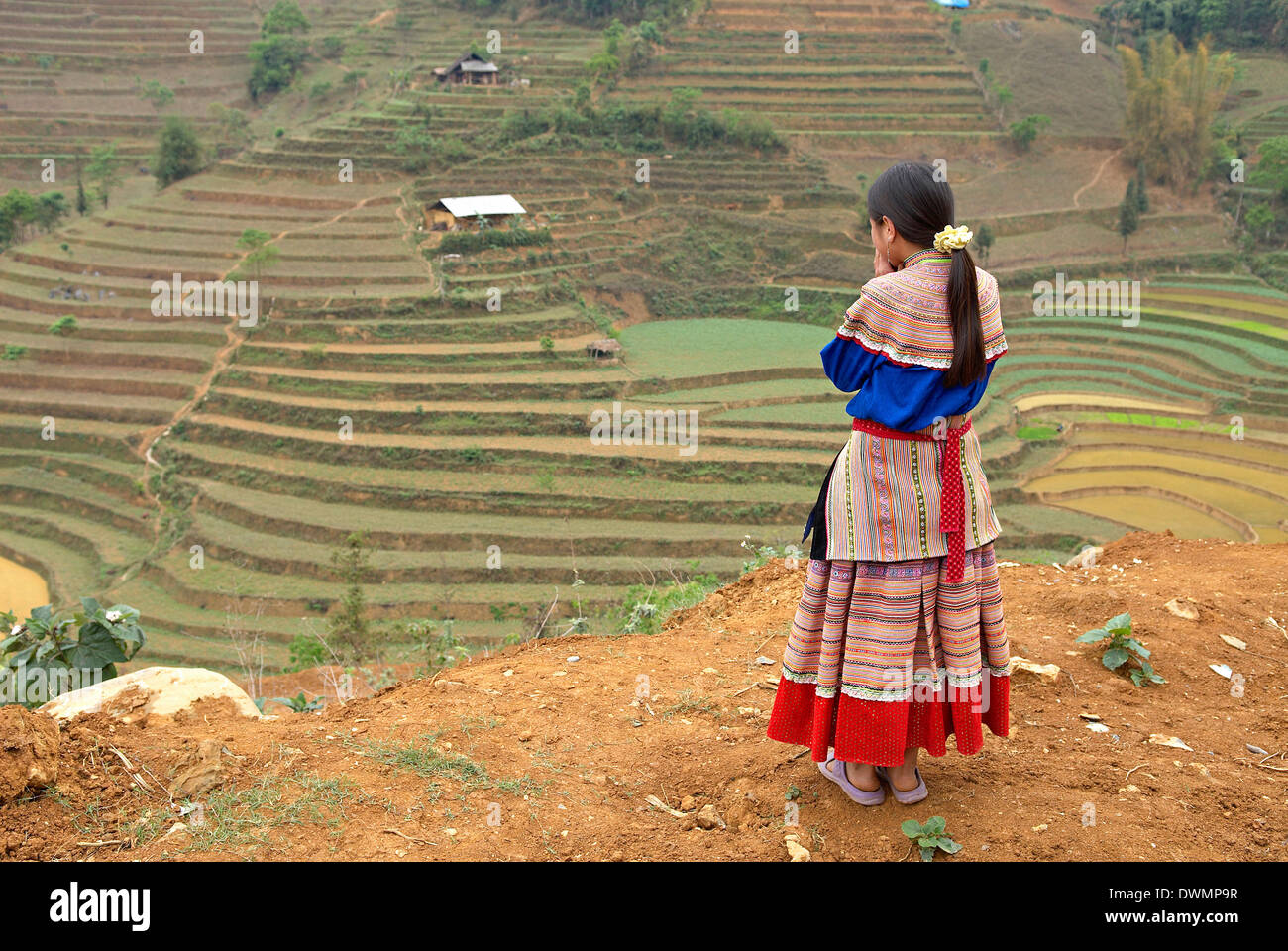 Flower Hmong Frau, können Cau Markt., Bac Ha Fläche, Indochina, Vietnam, Südostasien, Asien Stockfoto
