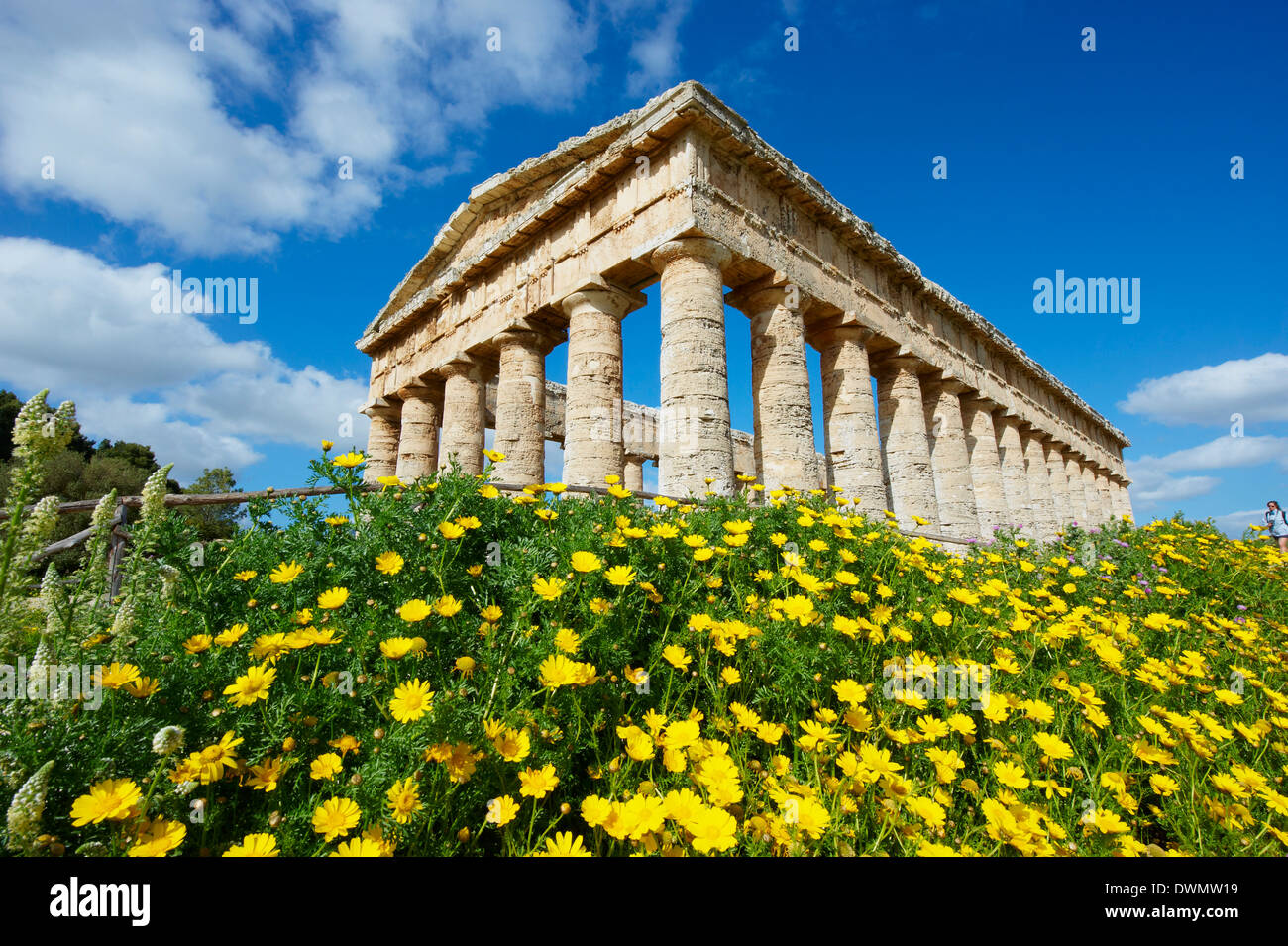 Griechische Tempel, Segesta, Bezirk von Trapani, Sizilien, Italien, Europa Stockfoto