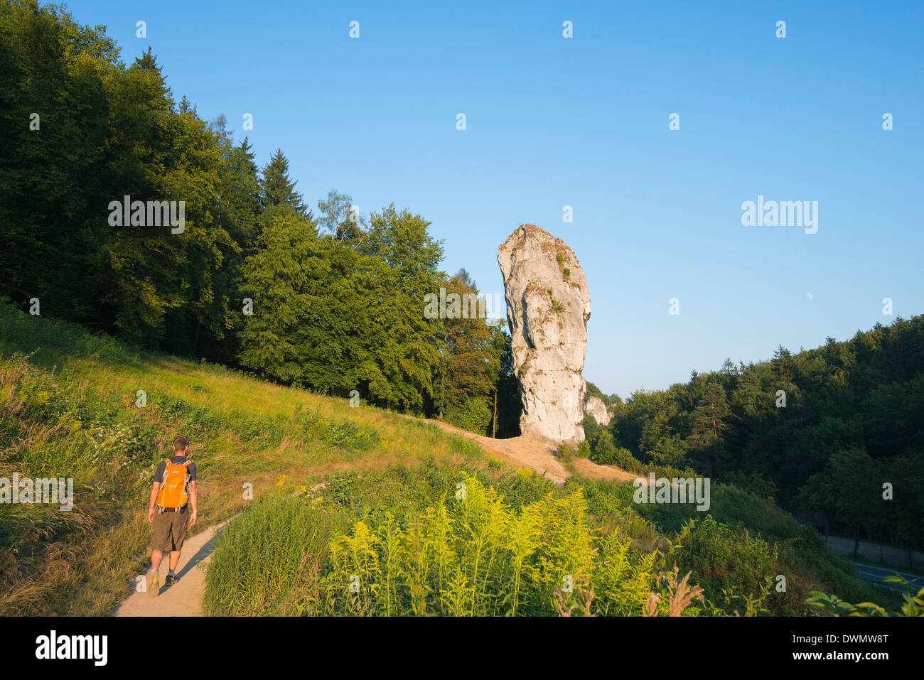 Hercules-Club (Maczuga Herkulesa), einem Kalkstein-Säule, Nationalpark Ojców, Kleinpolen, Polen, Europa Stockfoto