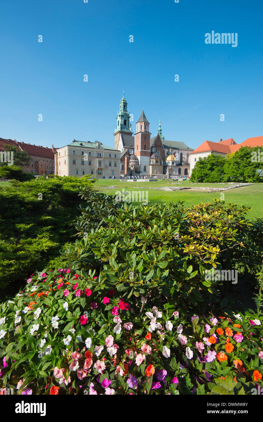 Wawel-Hügel-Schloss und Kathedrale, UNESCO-Weltkulturerbe, Krakau, Kleinpolen, Polen, Europa Stockfoto