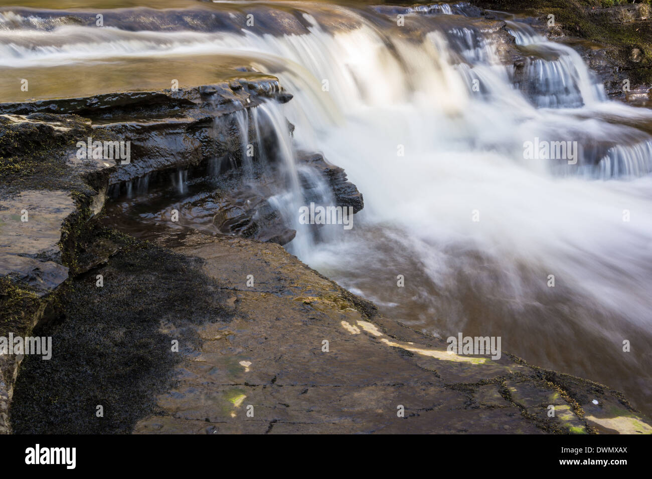 Wasserfälle im Gisburnund Wald in den Wald von Bowland Stockfoto