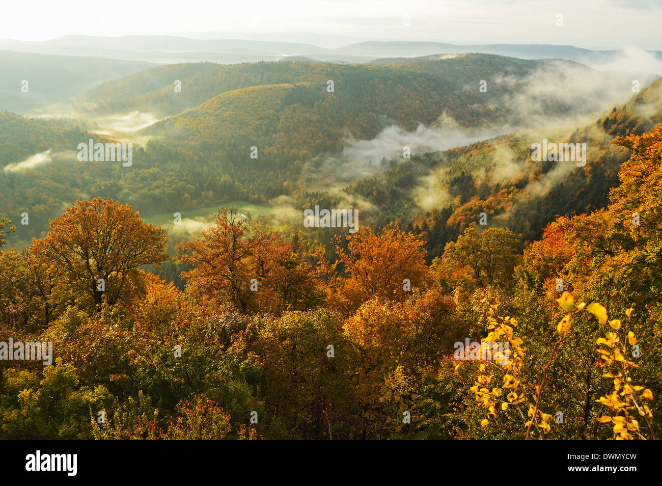Am frühen Morgen Blick von Oberburg Burg der Pfälzer Wald, Rheinland-Pfalz, Deutschland, Europa Stockfoto