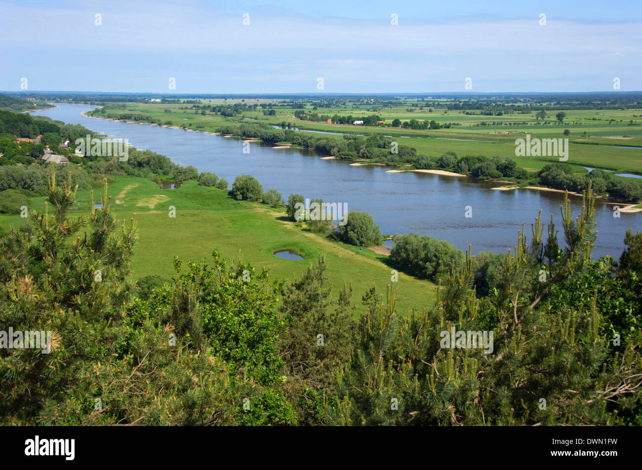 Fluss Elbe Stockfoto