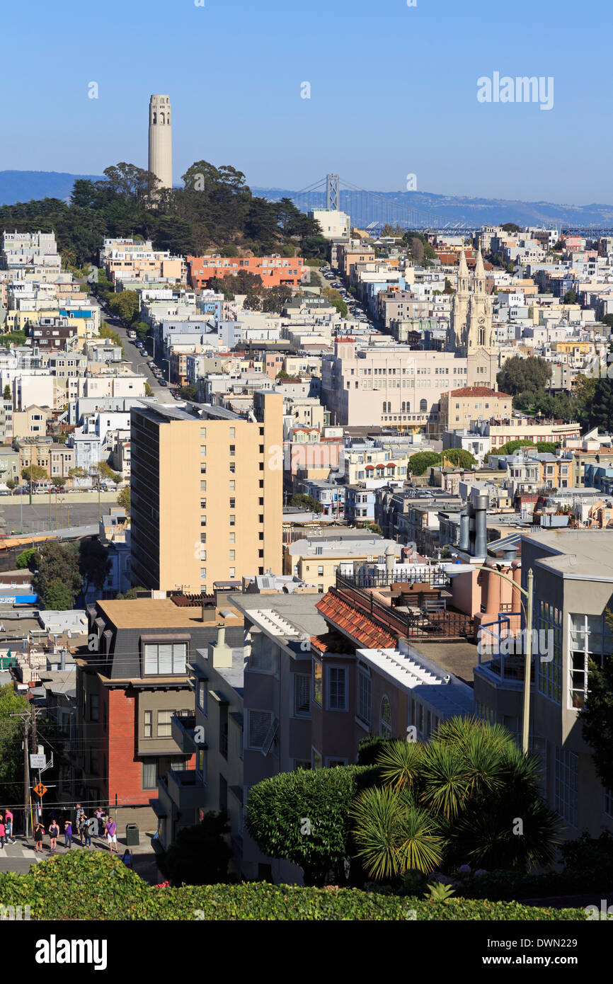 Lombard Street, San Francisco, Kalifornien, Vereinigte Staaten von Amerika, Nordamerika Stockfoto