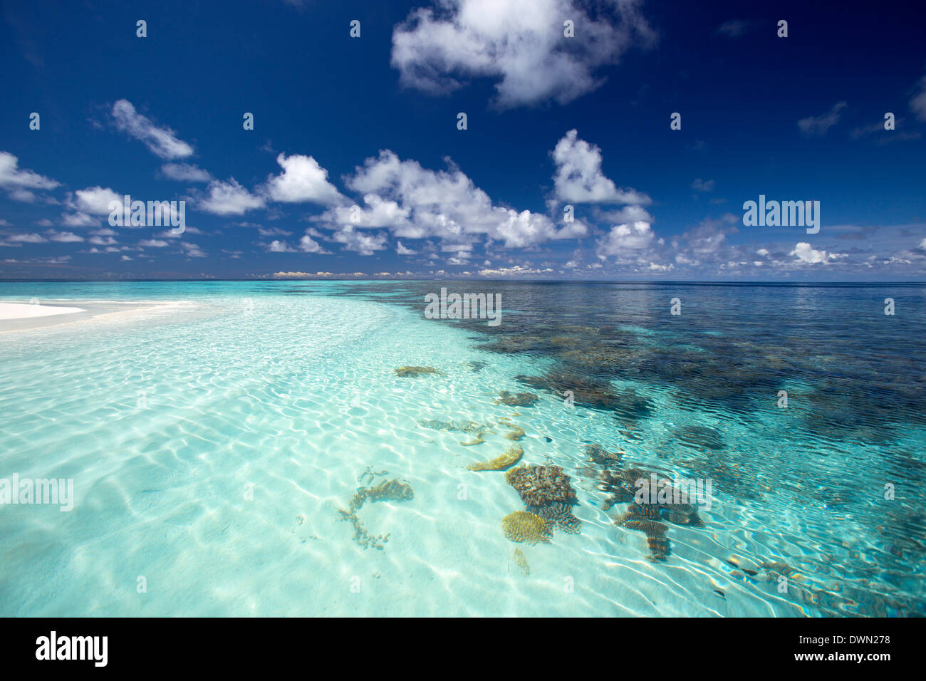 Tropische Lagune und Korallenriff, Baa Atoll, Malediven, Indischer Ozean, Asien Stockfoto