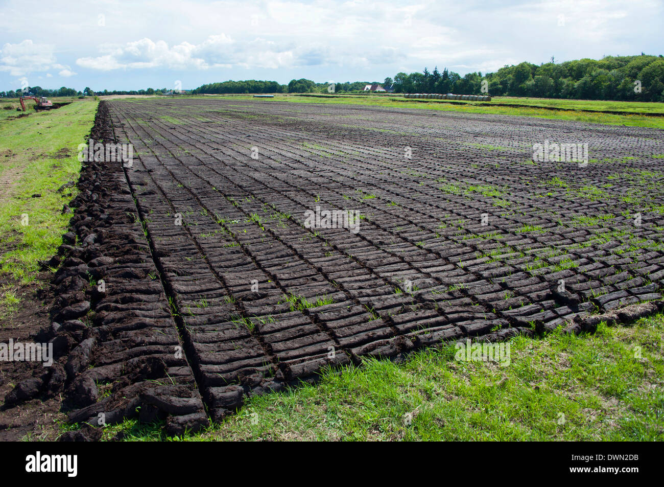 Torfabbau Wiesmoor Stockfoto