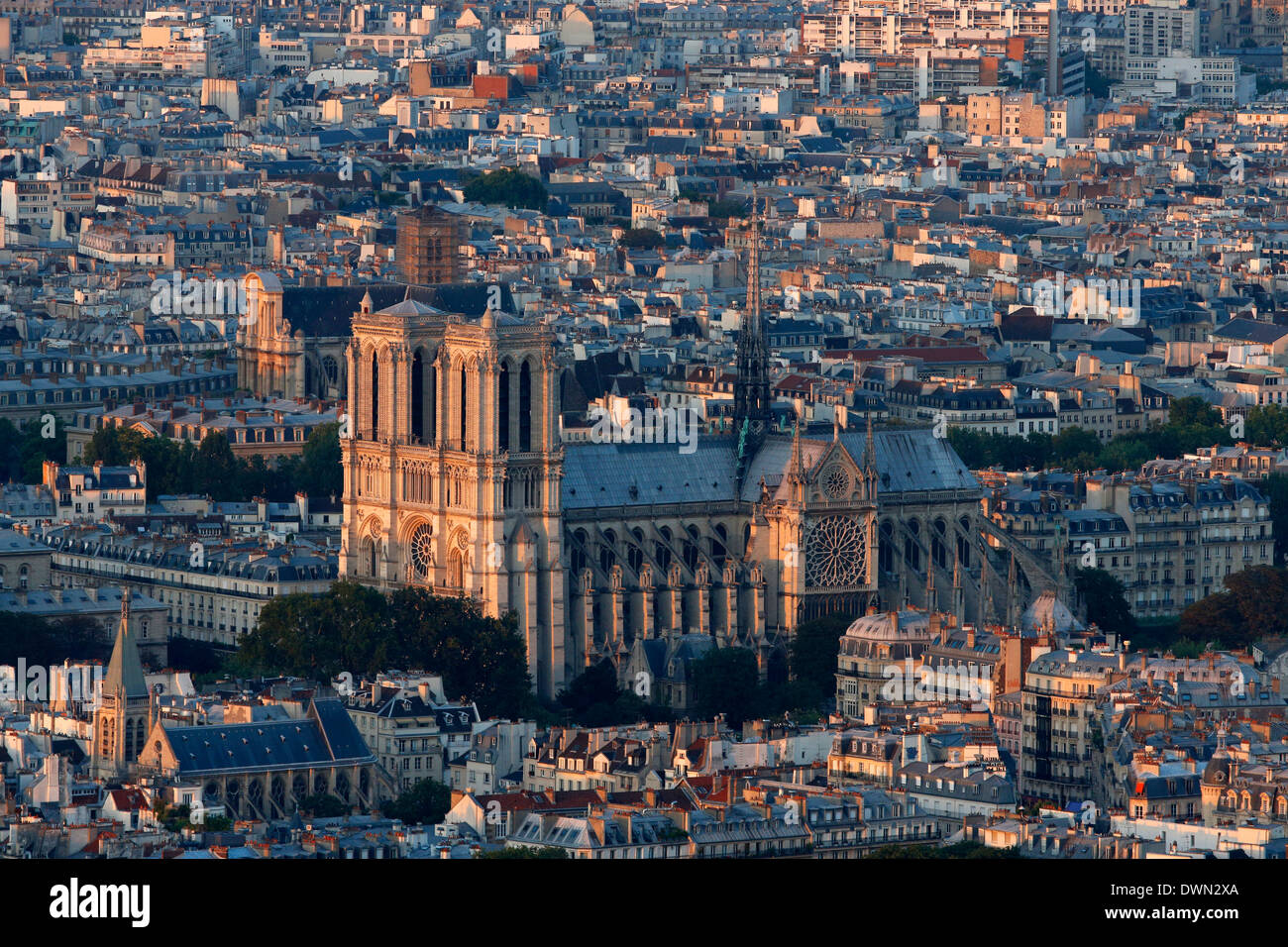 Notre-Dame de Paris Kathedrale, Paris, Frankreich, Europa Stockfoto