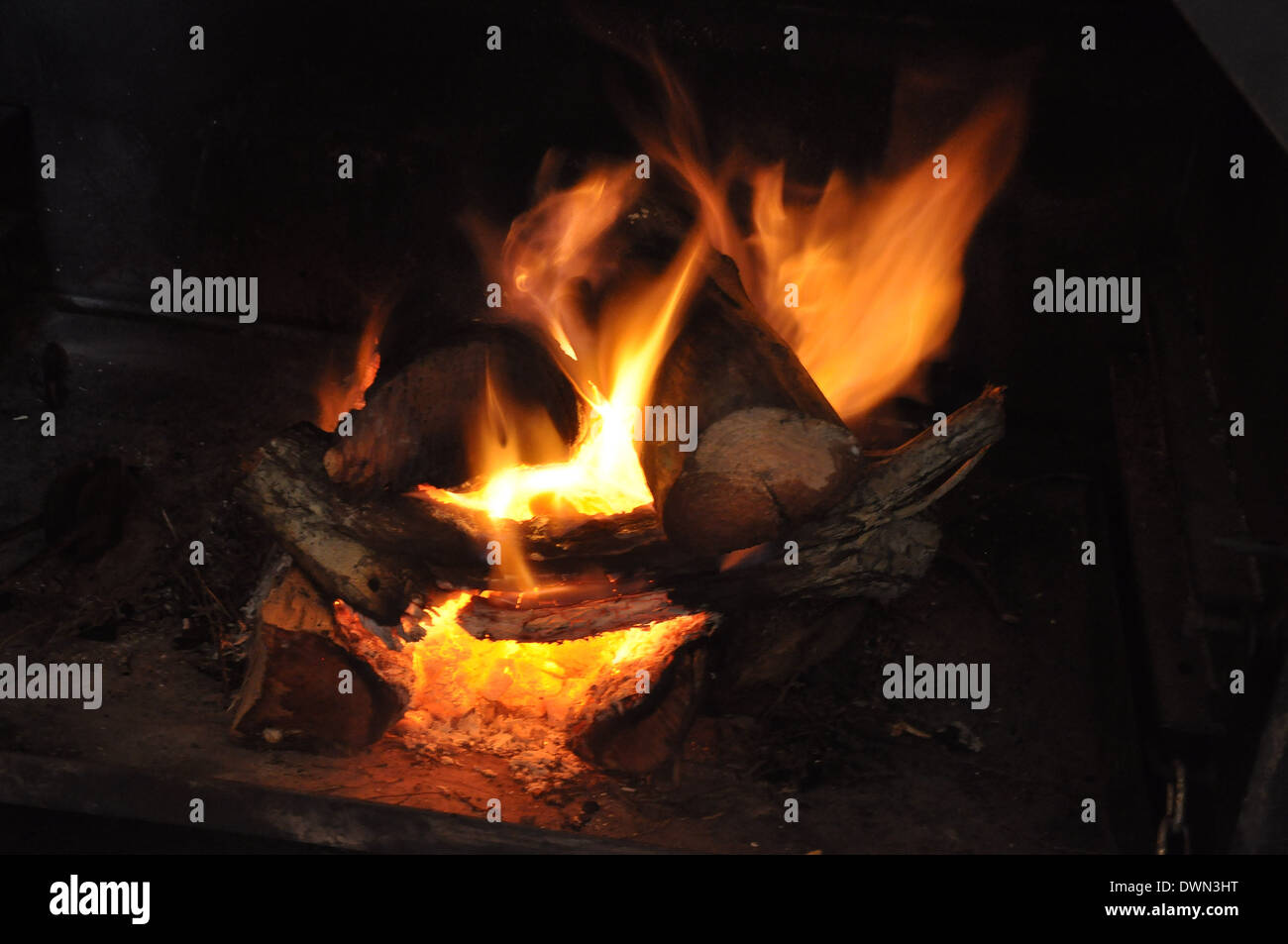 Feuer mit Protokolle für einen Braai in der südafrikanischen Natur Stockfoto