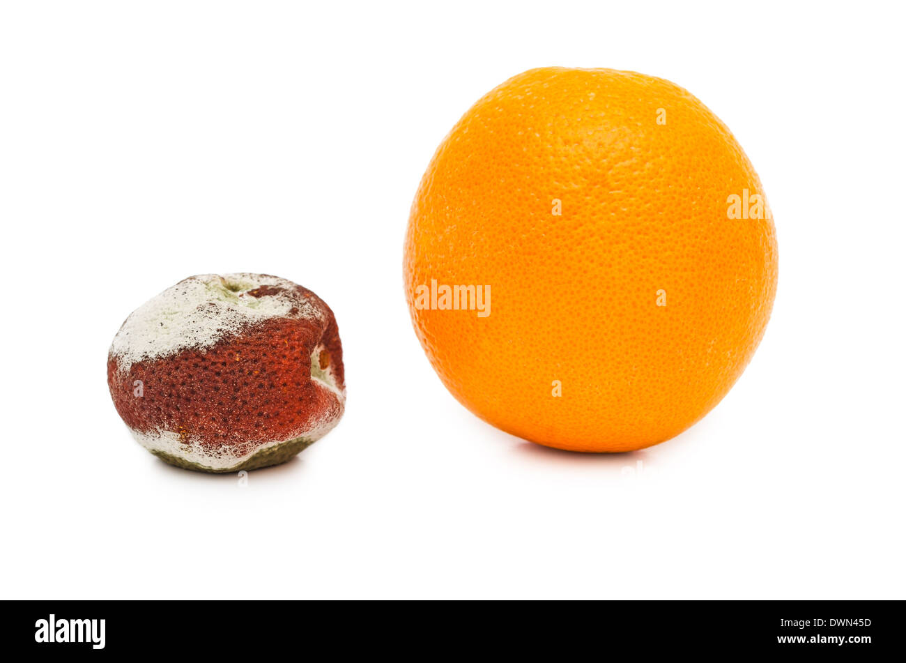 Orange mit Schimmel vor Fäulnis und nach. Isoliert auf weißem Hintergrund. Stockfoto