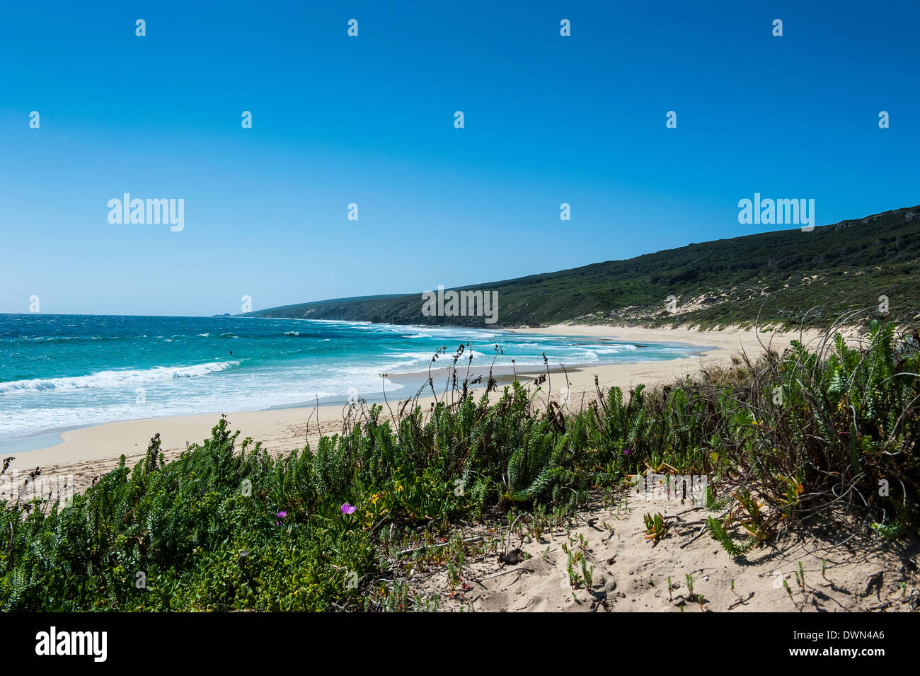 Weiße Sand und das türkisfarbene Wasser in der Nähe von Margaret River, Western Australia, Australien, Pazifik Stockfoto