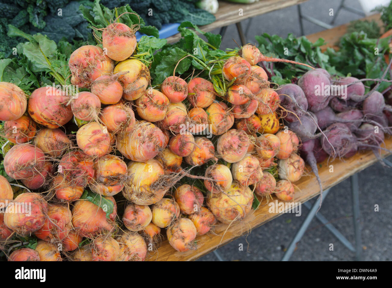 Frisch gepflückten orangene Rüben auf einem Bauernmarkt Stockfoto