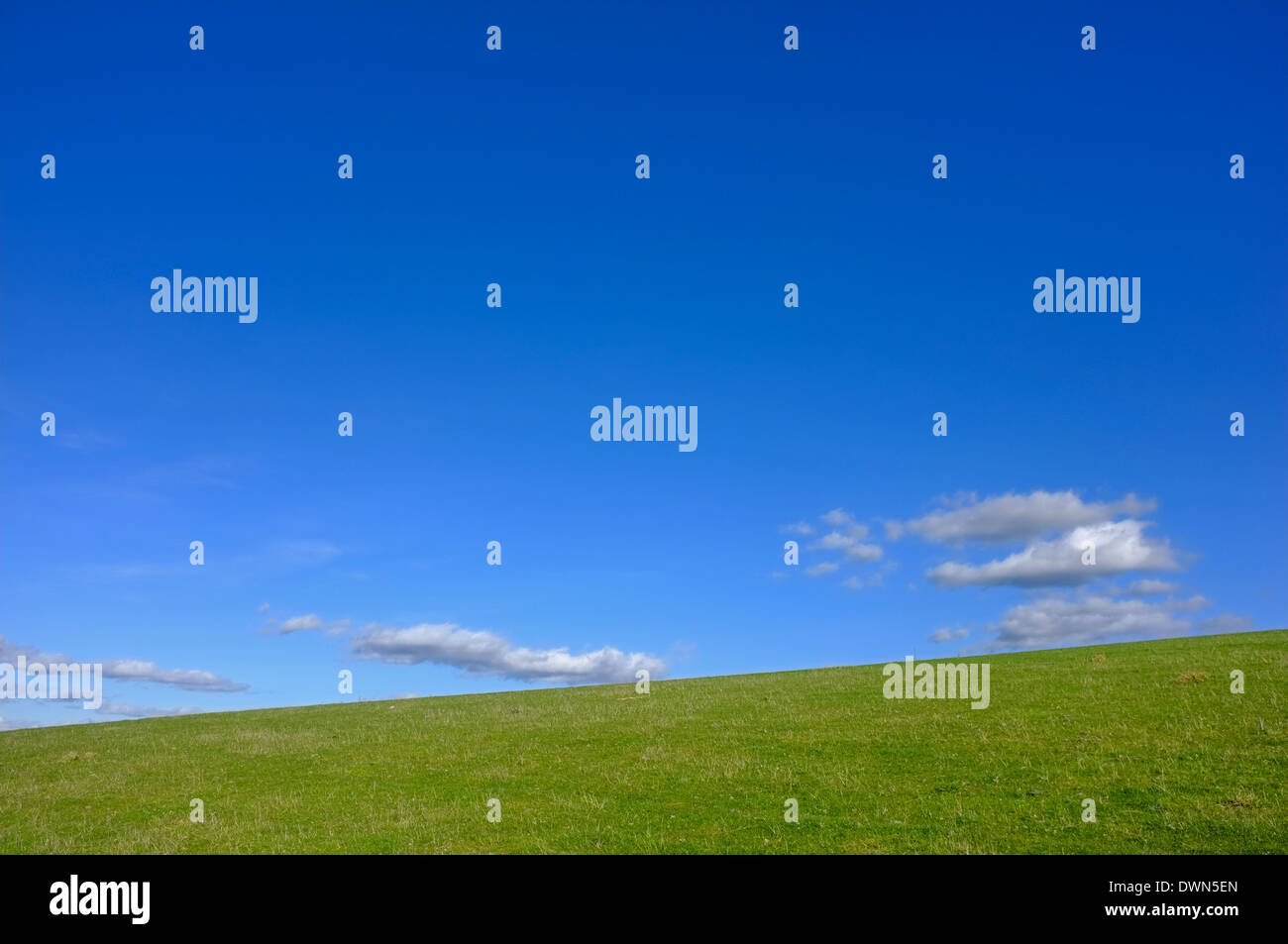 Grünes Feld und blauer Himmel Stockfoto