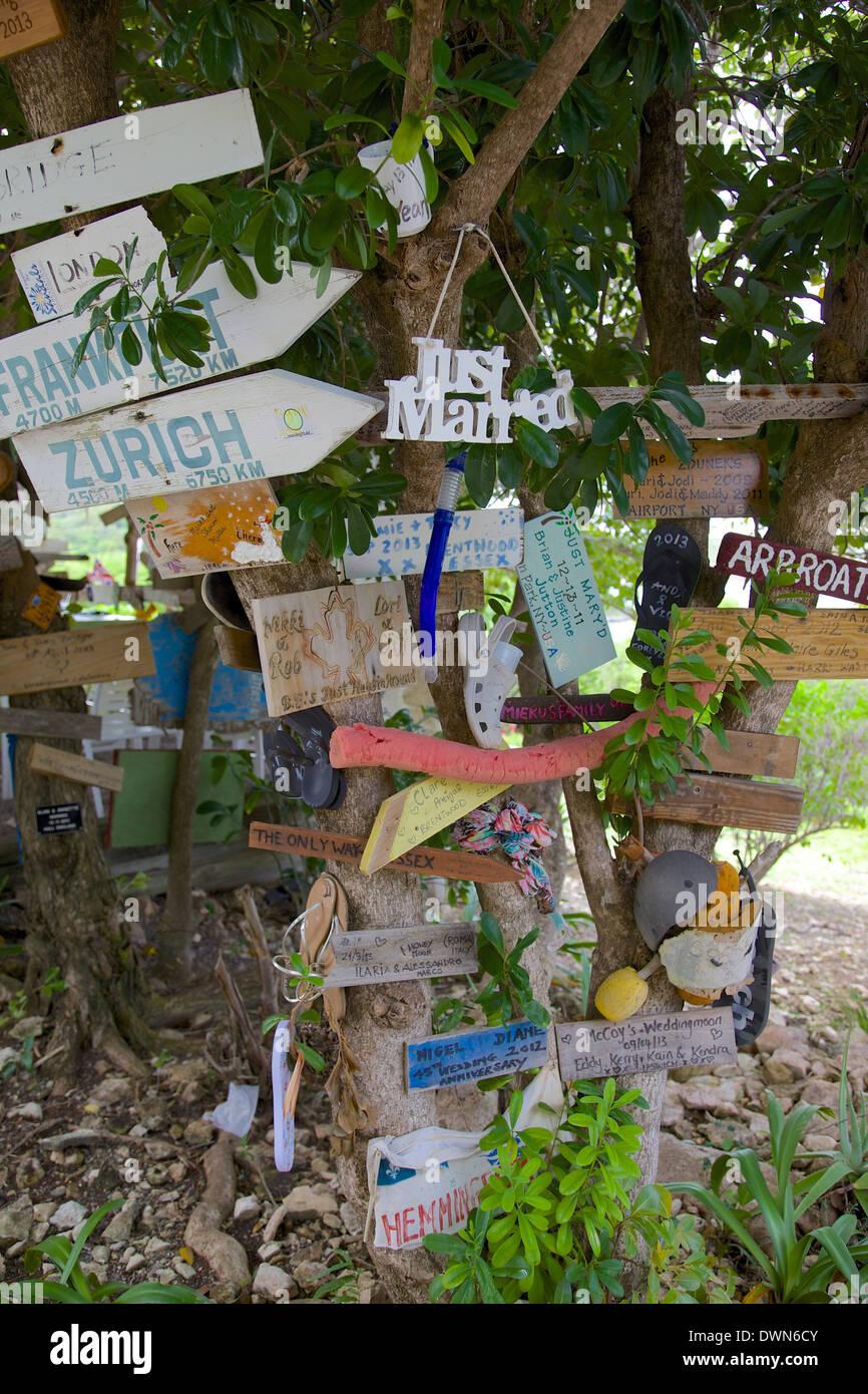 Schilder am Baum an Mama Pasta, Long Bay, Antigua, Leeward-Inseln, West Indies, Karibik, Mittelamerika Stockfoto