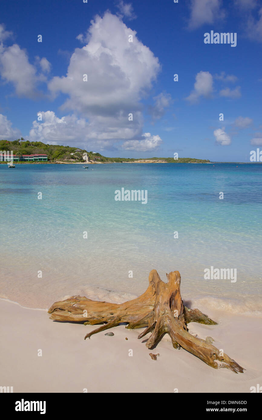 Blick auf Long Bay und Strand, Long Bay, Antigua, Leeward-Inseln, West Indies, Karibik, Mittelamerika Stockfoto