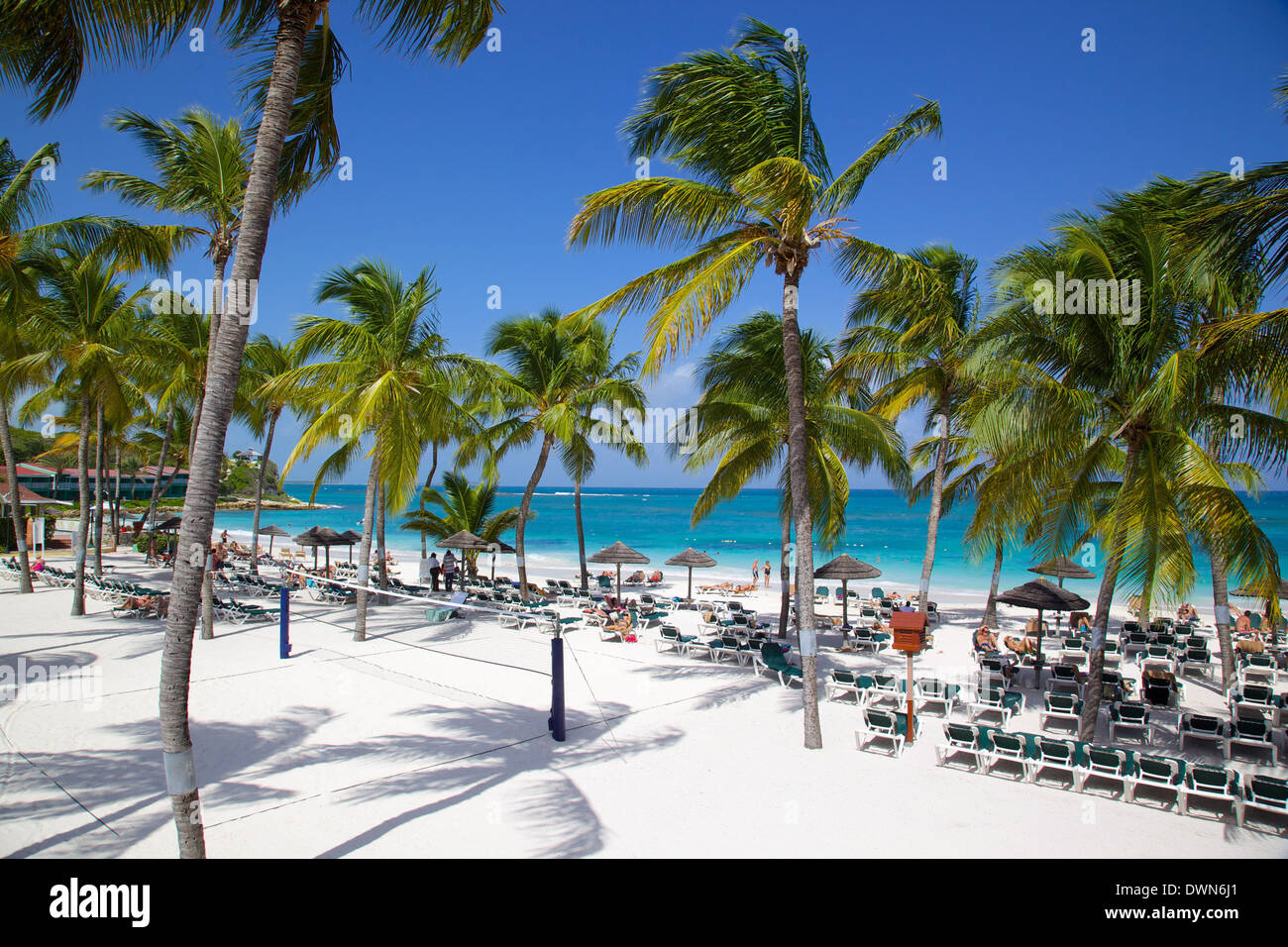 Strand und Palmen Bäume, Long Bay, Antigua, Leeward-Inseln, West Indies, Karibik, Mittelamerika Stockfoto