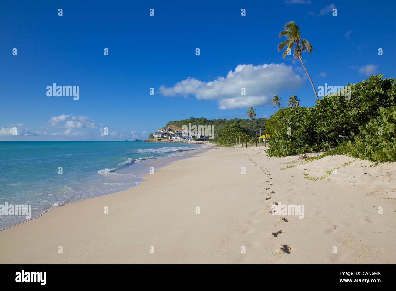 Darkwood Beach, St. Johns, Antigua, Leeward-Inseln, West Indies, Karibik, Mittelamerika Stockfoto