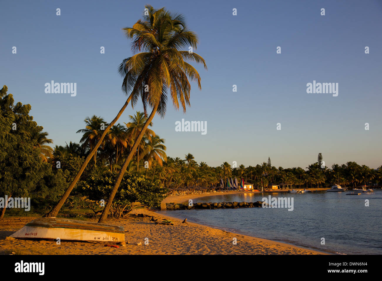 Palmen und Strand bei Sonnenuntergang, Morris Bay, St. Mary, Antigua, Leeward-Inseln, West Indies, Karibik, Mittelamerika Stockfoto
