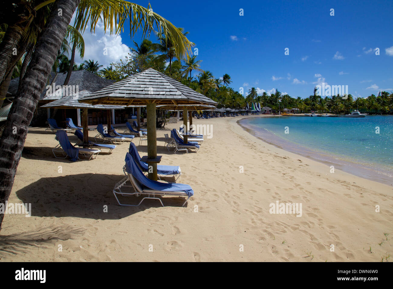 Palmen und Strand, Morris Bay, St. Mary, Antigua, Leeward-Inseln, West Indies, Karibik, Mittelamerika Stockfoto