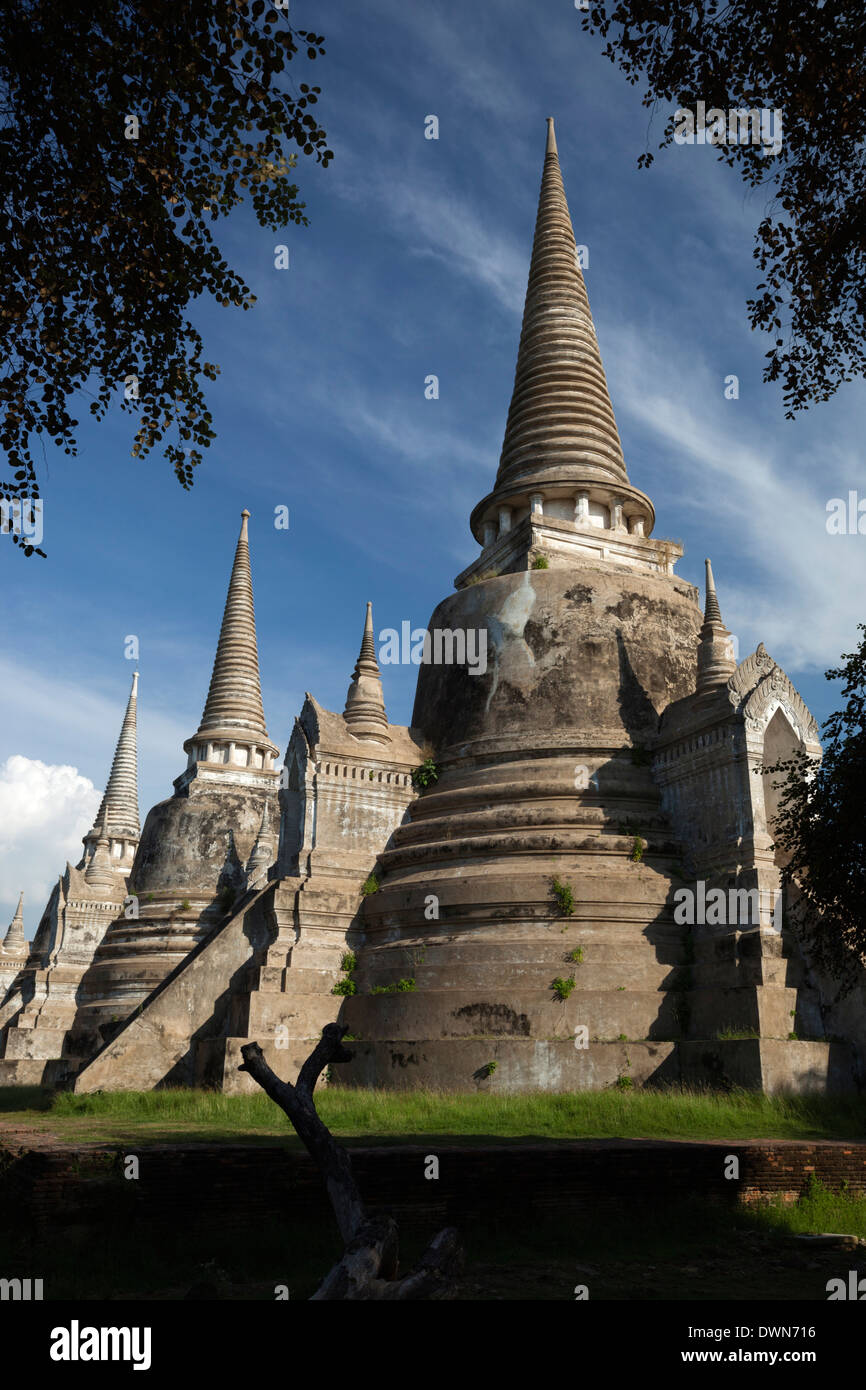 Ruinen des Wat Phra Sri Sanphet Ayutthaya, UNESCO World Heritage Site, Provinz Ayutthaya, Thailand, Südostasien, Asien Stockfoto