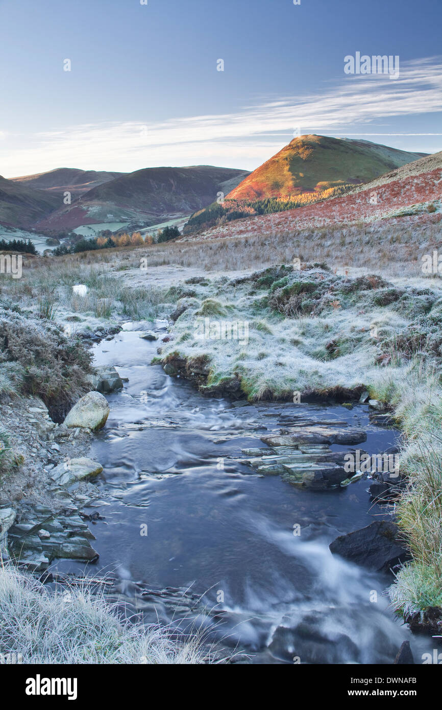 Crabtree Beck liefen Loweswater fiel in den Lake District National Park, Cumbria, England, Vereinigtes Königreich, Europa Stockfoto