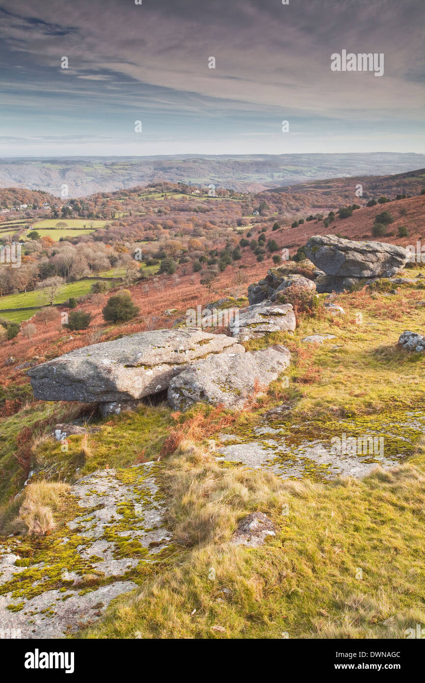 Hayne unten in Dartmoor National Park, Devon, England, Vereinigtes Königreich, Europa Stockfoto
