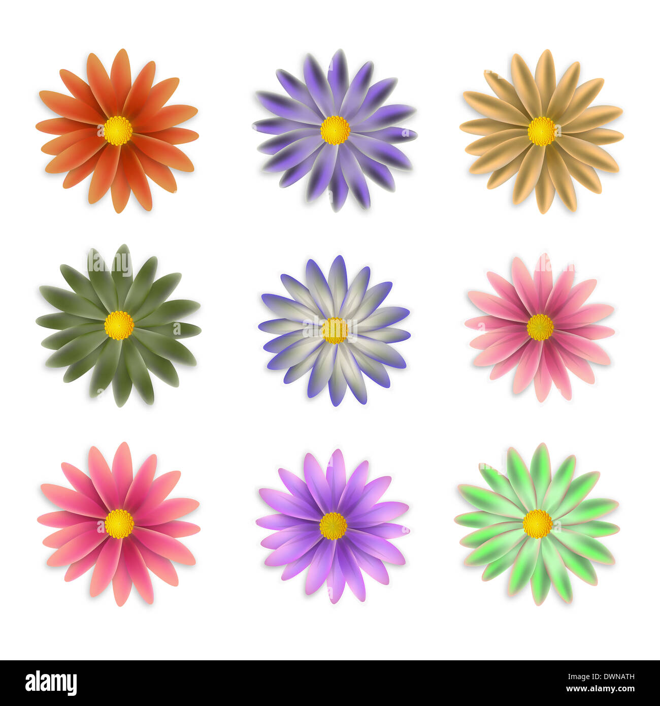 Blumen in verschiedenen Farben auf weißem Hintergrund, Vektor-illustration Stockfoto