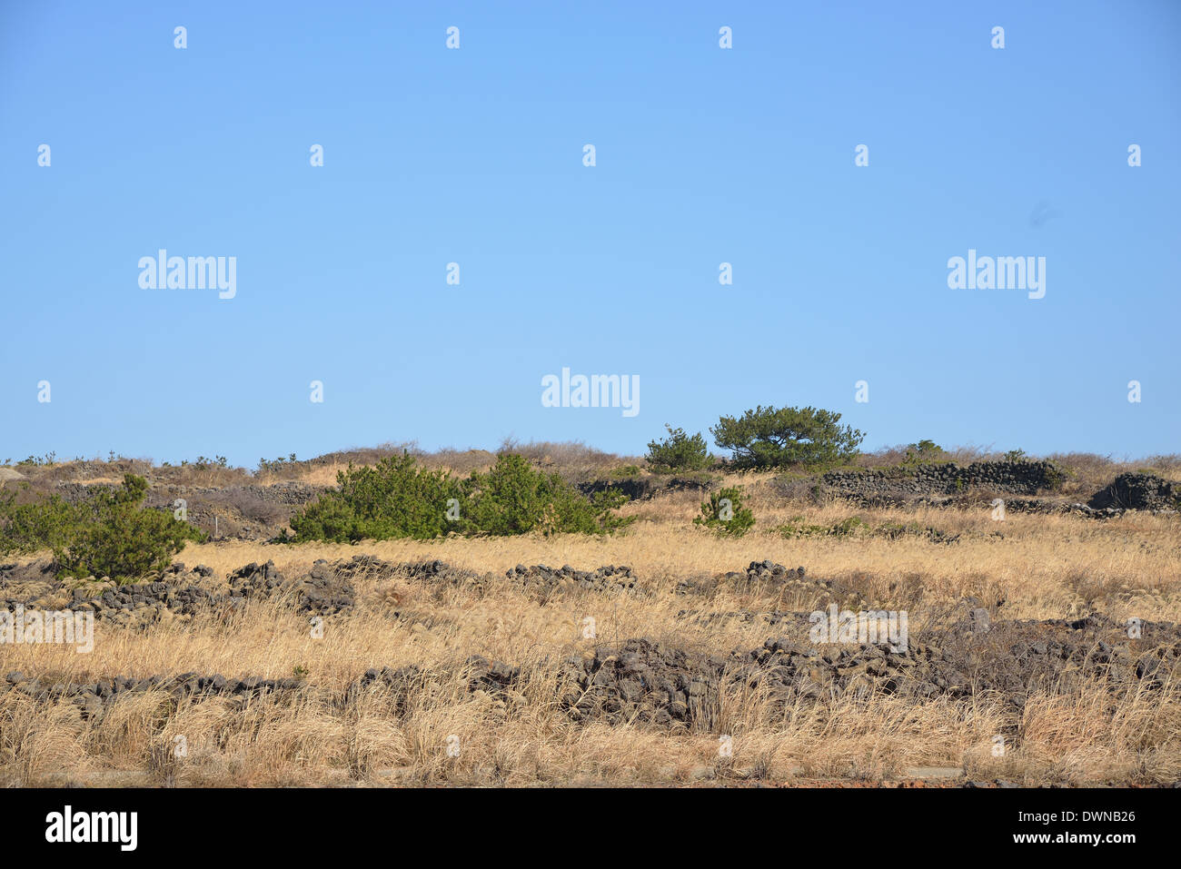 Landschaft der Insel Jeju in Südkorea Stockfoto