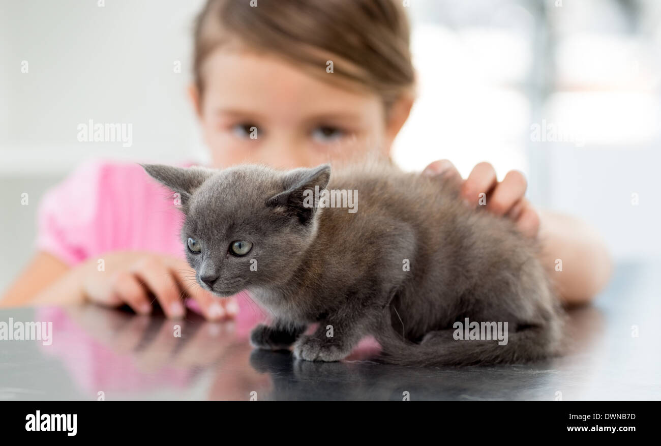 Mädchen mit Kätzchen beim Veterinäramt Stockfoto