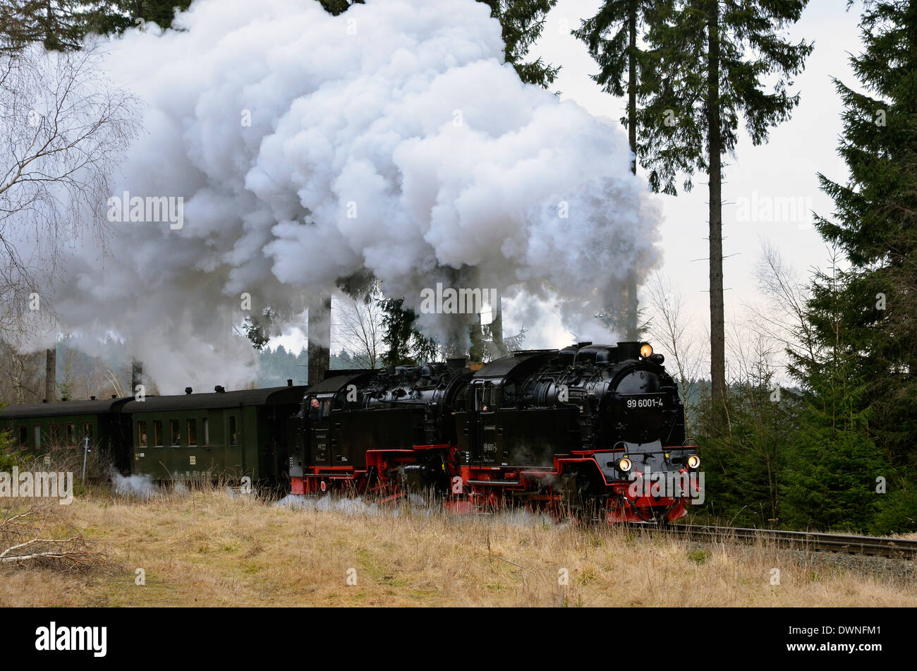 Harzer Schmalspurbahnen (HSB) Züge im Harz, Sachsen-Anhalt, Deutschland. Dampf im Wald südlich von Drei Annen Hohne. Stockfoto