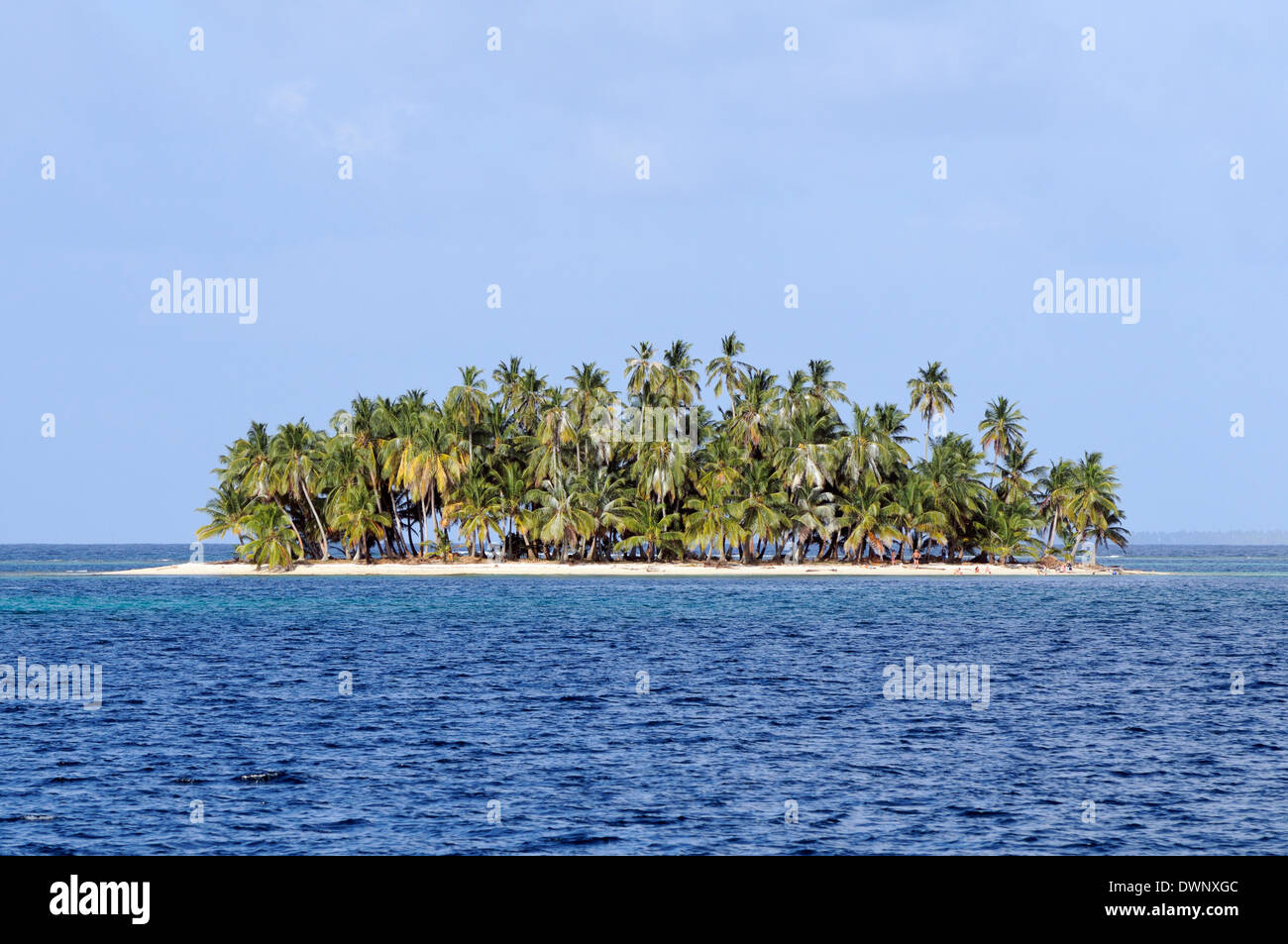 Tropischen Insel mit Palmen Bäume, Cayos Los Grullos, San Blas Inseln, Panama Stockfoto
