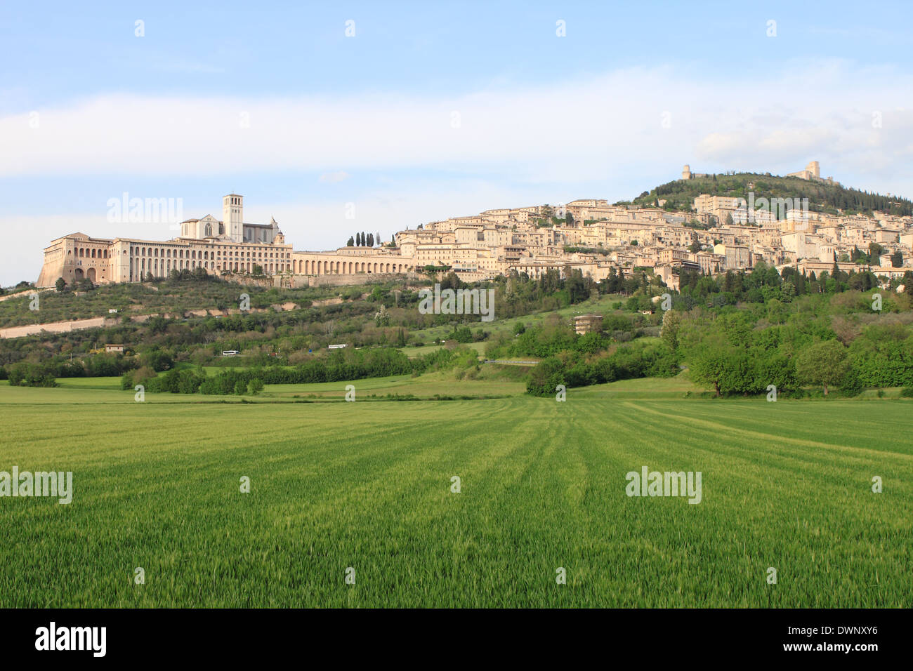Panorama von Assisi (Italien) mit Saint Francis Kathedrale Stockfoto