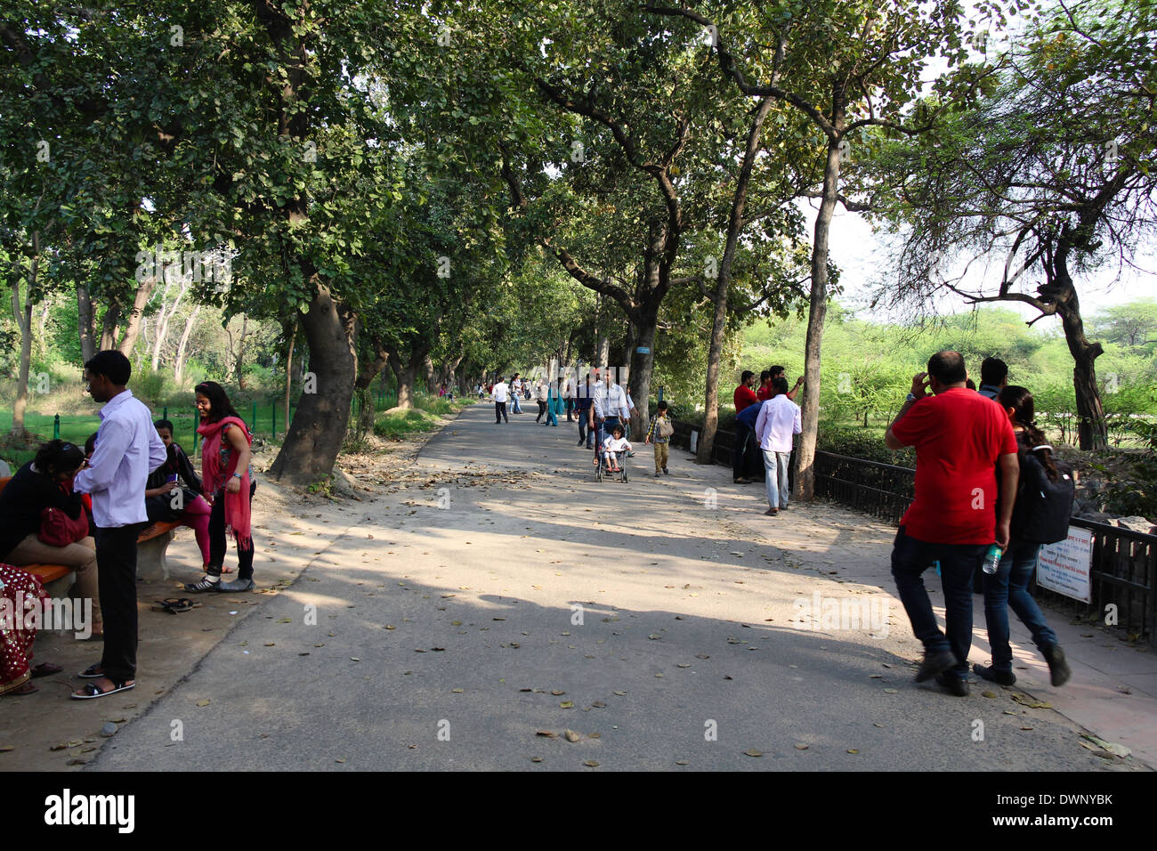 Besucher in Delhi Zoo auf von Bäumen gesäumten Straße, einige zu Fuß entlang und andere beobachten Tiergehege auf beiden Seiten der Straße Stockfoto