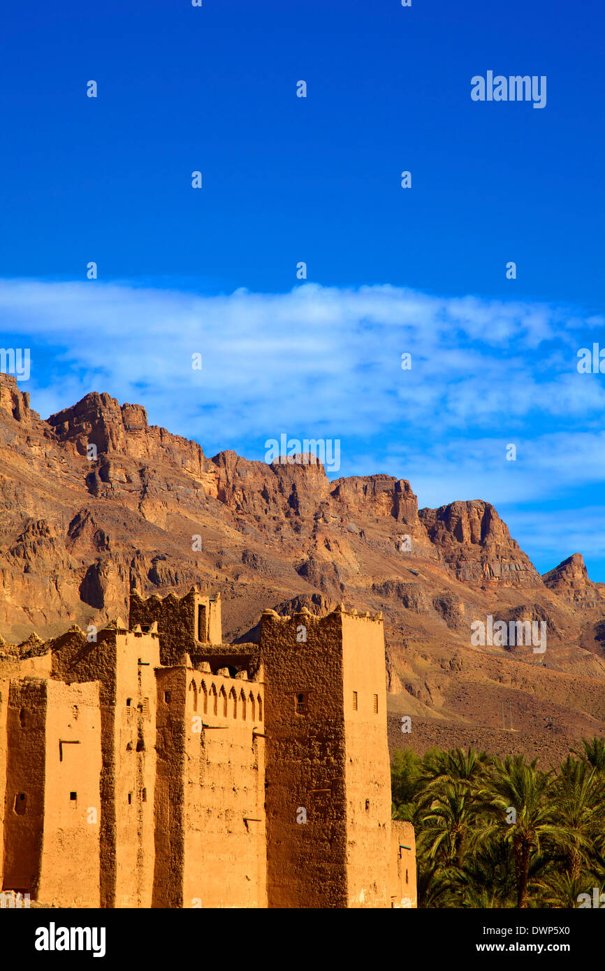 Kasbah in Tamnougalt, Marokko, Nordafrika Stockfoto