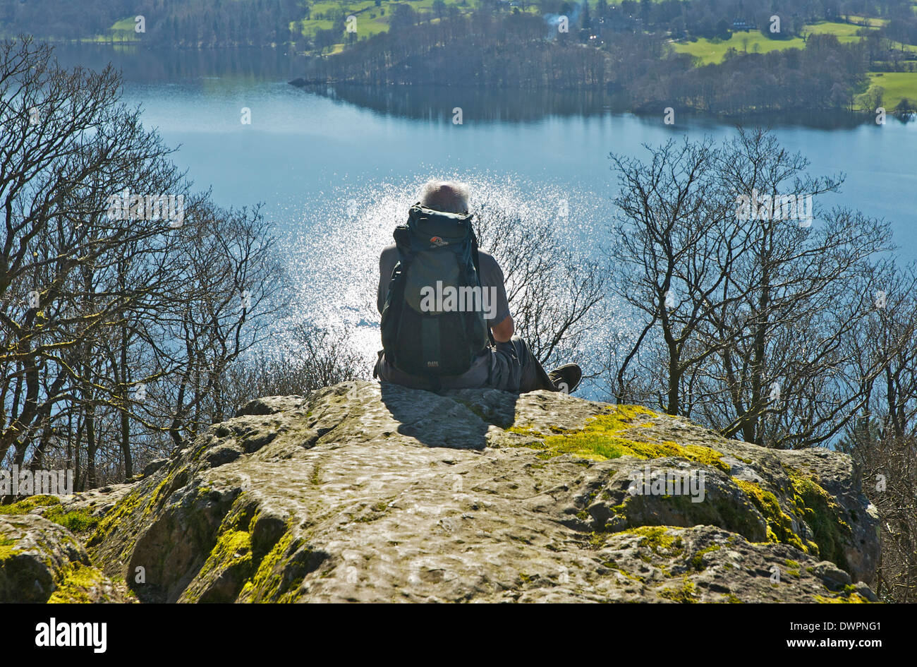 Senior Walker am Aussichtspunkt, Jenkins Crag, Blick über Lake Windermere, Lake District Nat Park, Cumbria, England UK Stockfoto