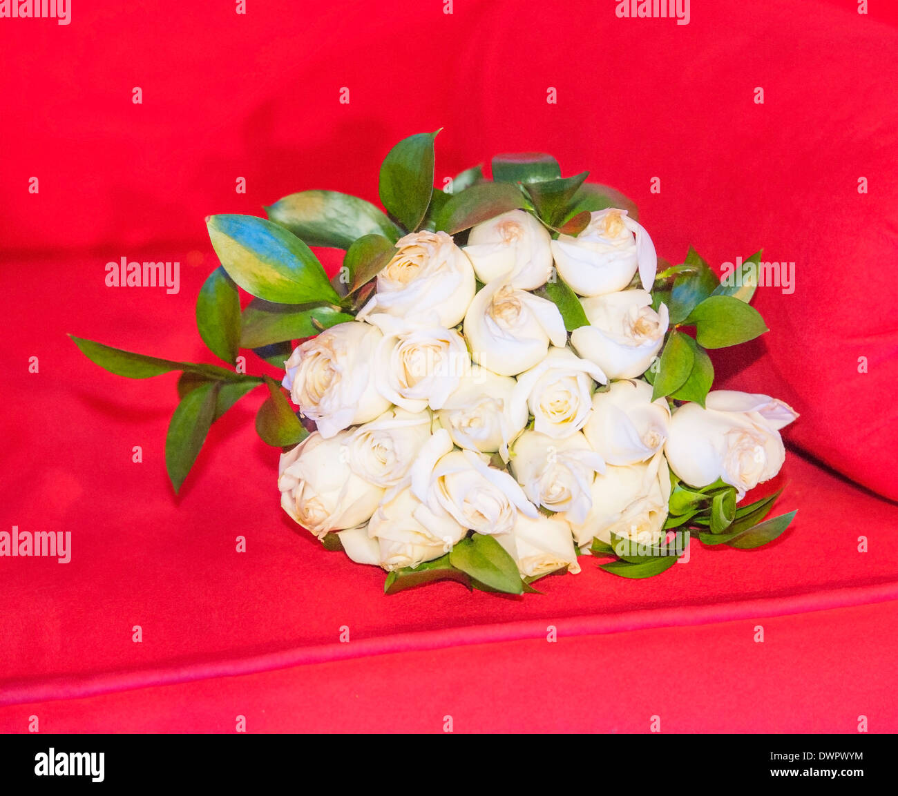 Nahaufnahme Detail mit Blumenstrauß weiße rose auf einem roten sofa Stockfoto