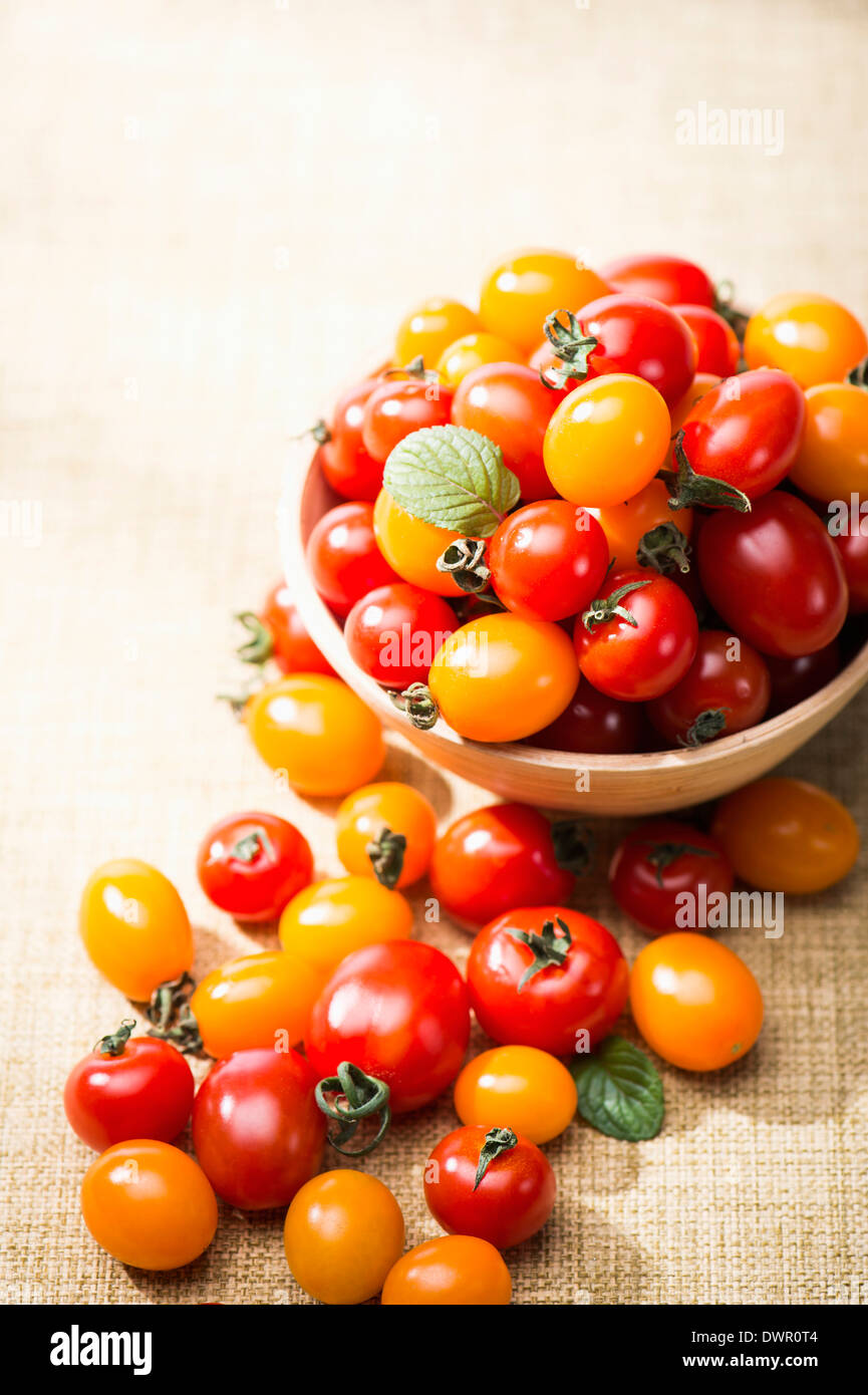 Schuss von Sweet Pea Tomaten hautnah Stockfoto