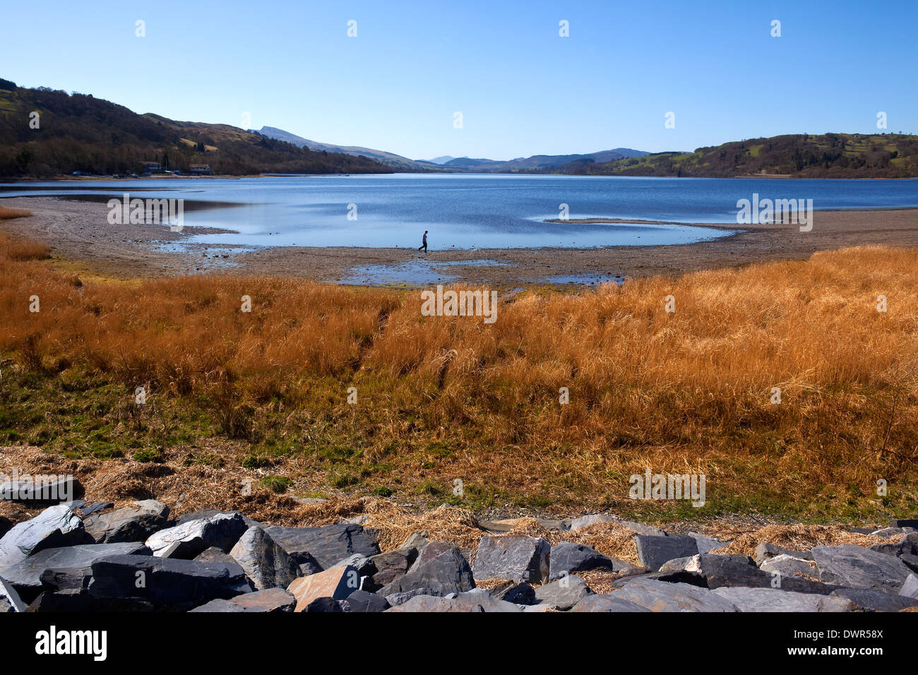 Bala Lake (Llyn Tegid) in der Nähe der kleinen Stadt Bala in Gwynedd in Wales im Vereinigten Königreich. Stockfoto