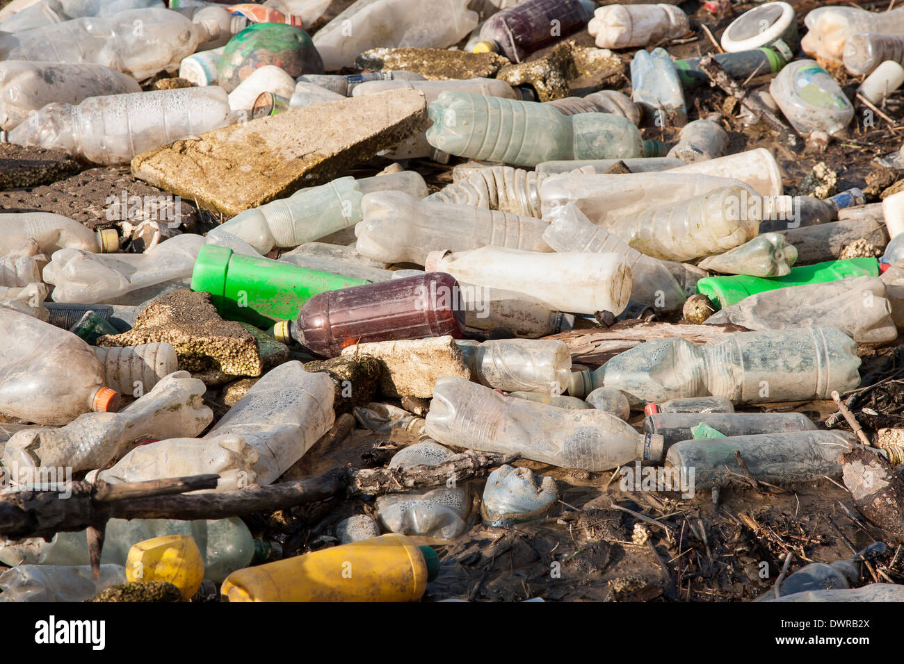 Verschmutzung der Umwelt. Kunststoff-Flaschen auf illegale Müllkippe Stockfoto