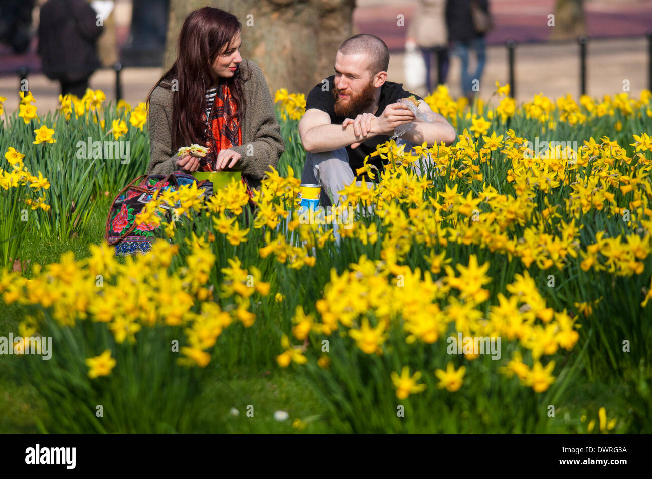 London, UK. 12. März 2014. Londoner profitieren Sie von frühen Frühlingssonne genießen viele königlichen Parks in London als Narzissen blühen und jubeln nach einem langen, nassen Winter hinzufügen wo Niederschlag übertraf alle bisherigen Rekorde. Bildnachweis: Paul Davey/Alamy Live-Nachrichten Stockfoto