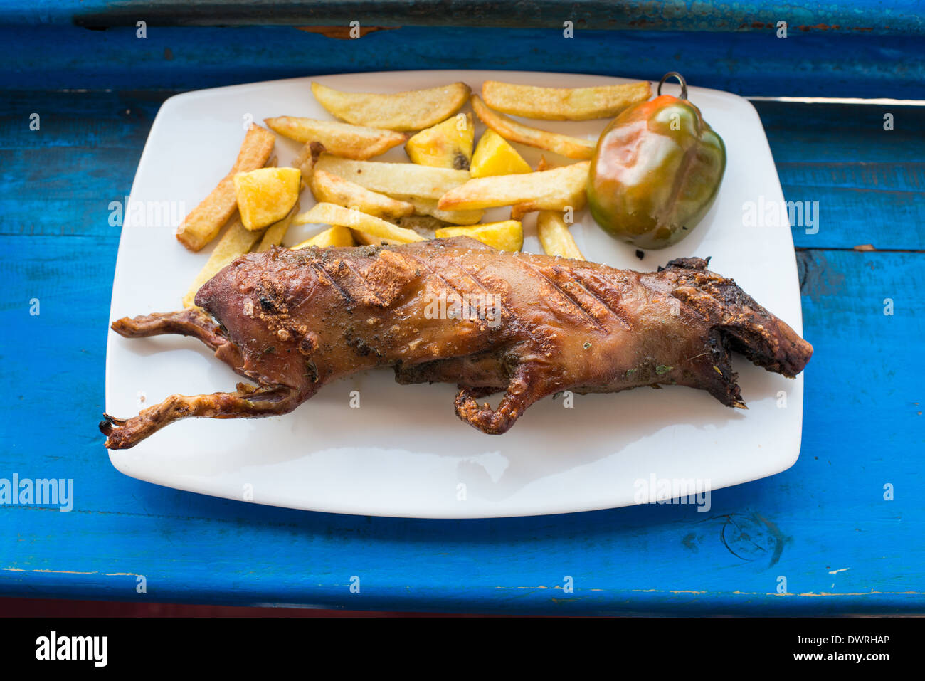 Gegrillte Meerschweinchen Gericht in den peruanischen Anden in Cusco-Peru Stockfoto