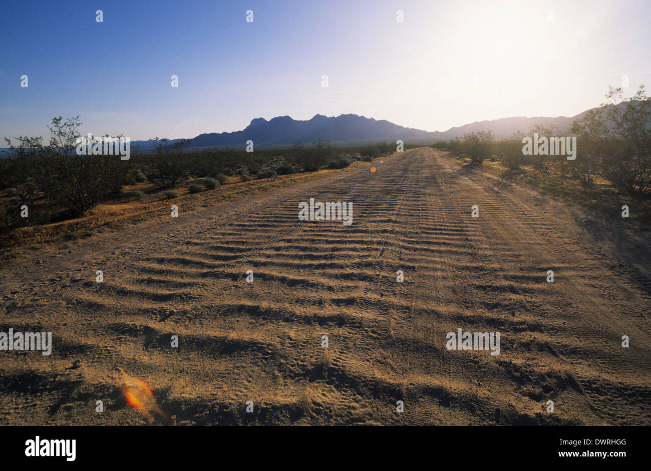 Elk248-2607 Kalifornien, Mojave National Preserve, Park Feldweg Stockfoto