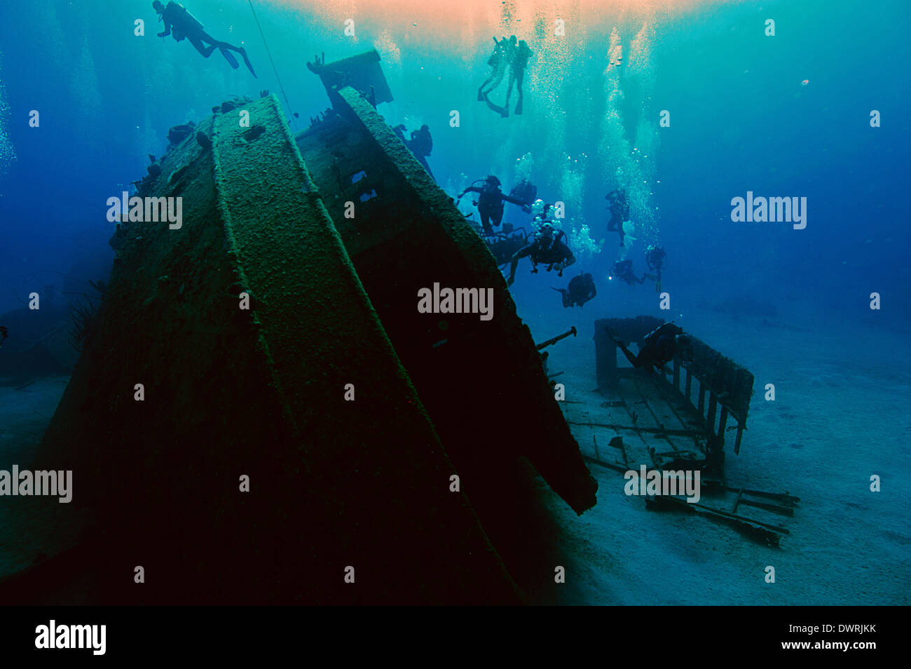 Taucher erkunden Sie das El Aguila Schiffswrack in Roatan, Honduras. Das Schiff sank in 110 Fuß Wasser im Jahr 1997. Stockfoto