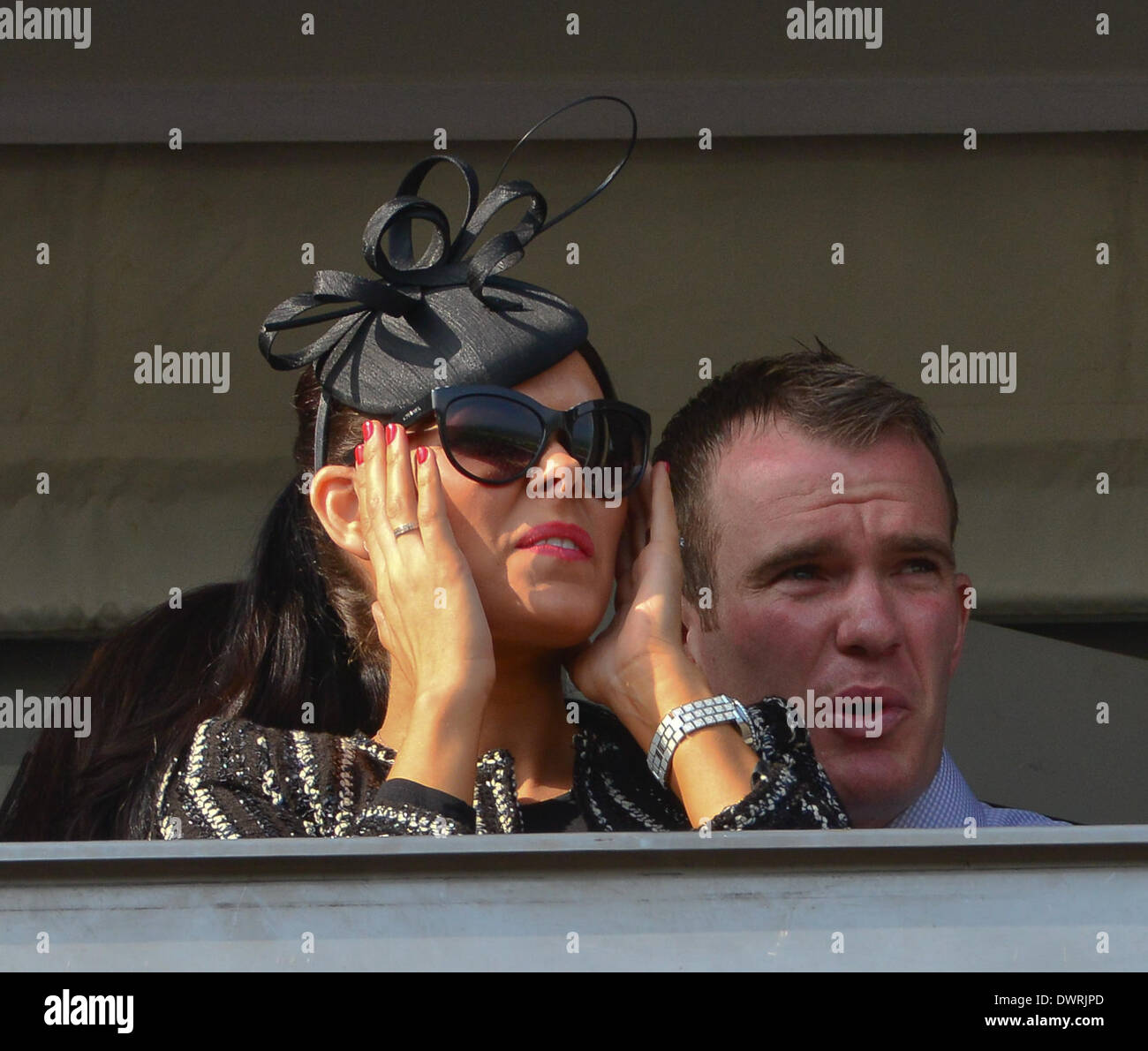 Cheltenham, Gloucestershire, England. 12. März 2014. Festivalbesucher beobachten die Rennen am Tag zwei Ladies Day des Cheltenham Gold Cup Festival 2014 Kredits: Jules Annan/Alamy Live News Stockfoto