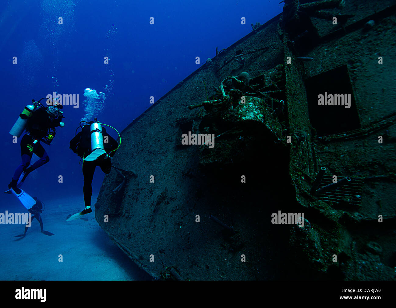 Taucher erkunden Sie das El Aguila Schiffswrack in Roatan, Honduras. Das Schiff sank in 110 Fuß Wasser im Jahr 1997. Stockfoto