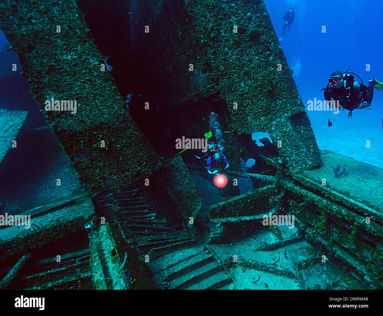 Taucher erkunden Sie das Odyssey Schiffswrack in Roatan, Honduras. Der 300 Fuß-Frachter wurde im November 2002 in 110 Fuß Wasser versenkt. Stockfoto