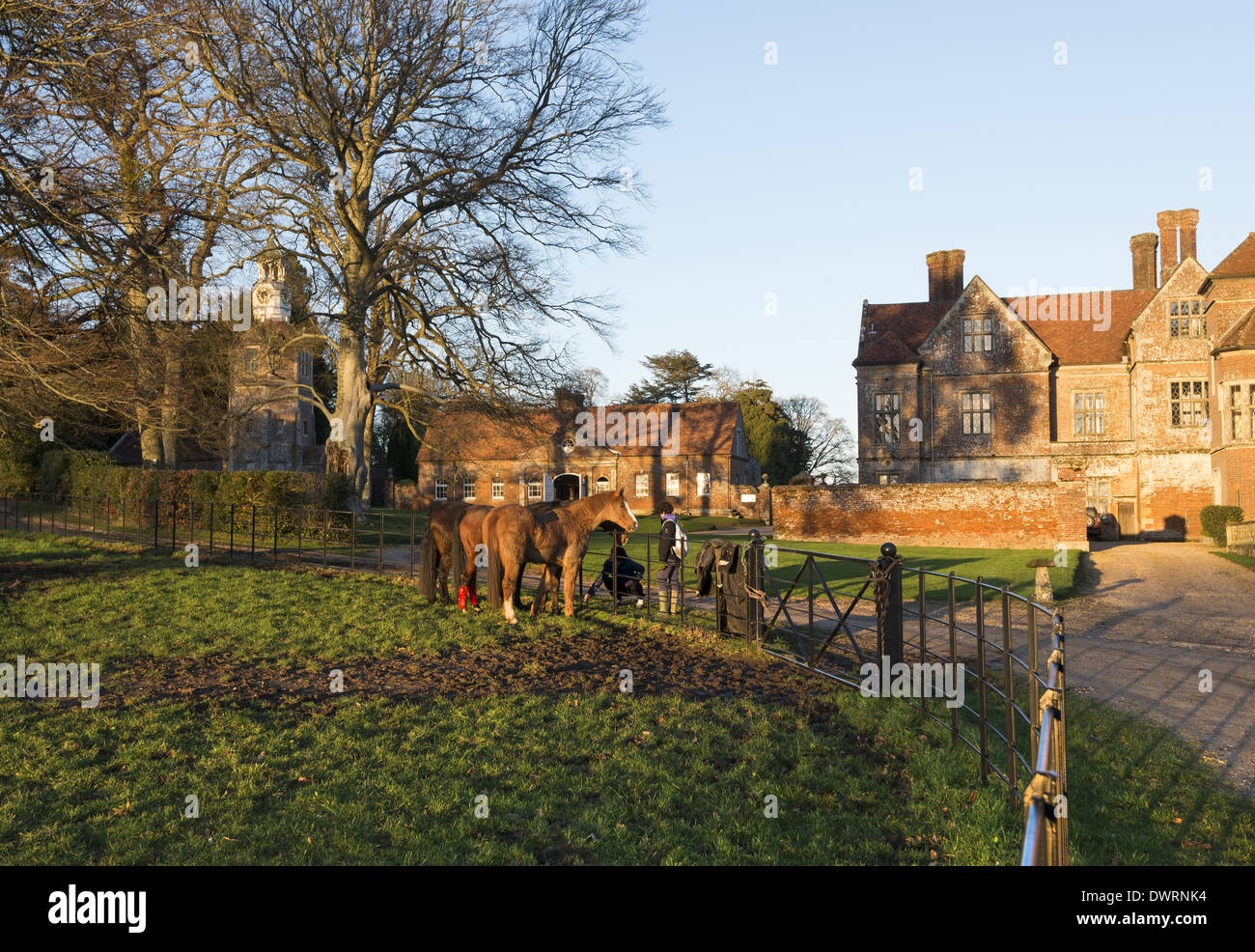 Pferde im Paddock neben dem Herrenhaus Breamore nördlich von Fordingbridge in Hampshire, England, Großbritannien Stockfoto